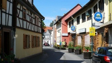 Bilder von Dotzheim